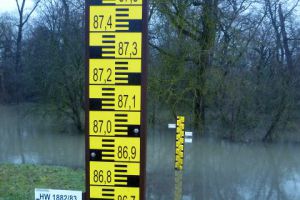 2021-hochwasser-pegel-gustavsburg-1-640x480-070221BAA59FA5-1B75-111F-4250-1583EB7286E2.jpg