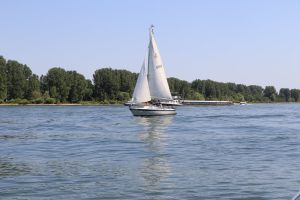 871a42754D0939F5-F503-E107-E8C5-ABEB4C3E30EB.jpg